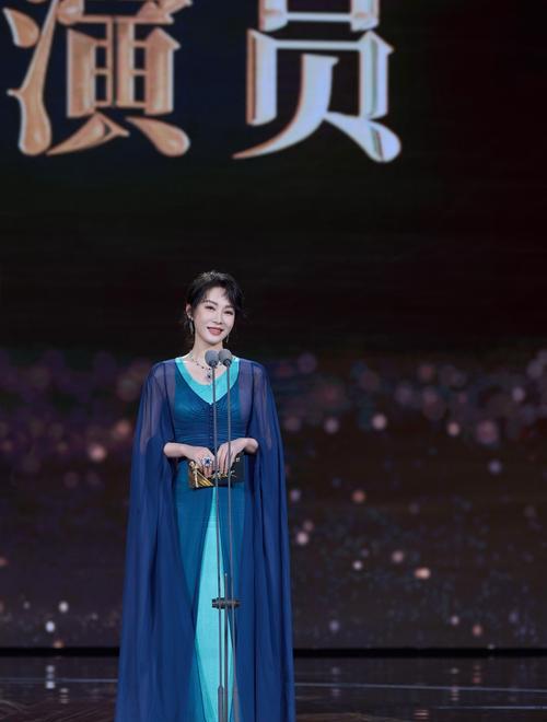电视剧导演工作委员会表彰大典_电视剧导演颁奖_电视节目颁奖典礼