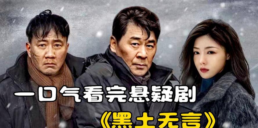 黑土无言电视剧演员表